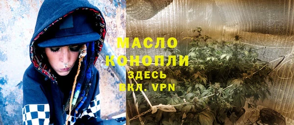 мет Алексин