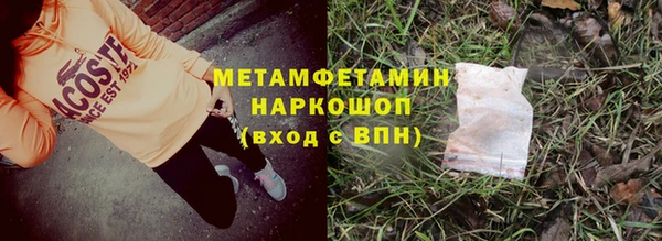 мет Алексин