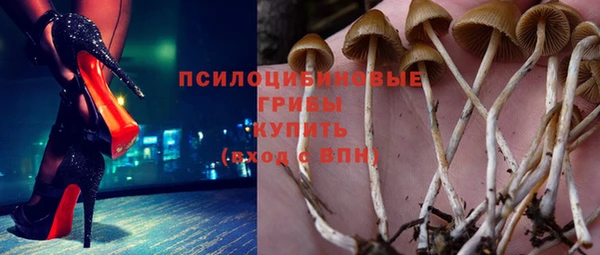 мет Алексин