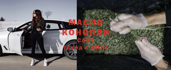 мет Алексин