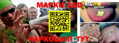 сатива Малгобек