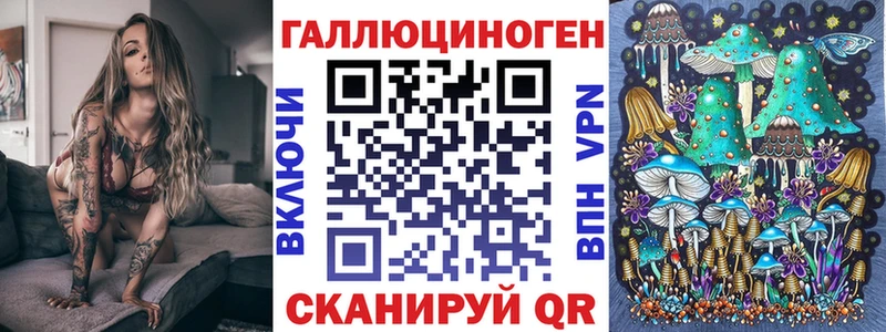 Галлюциногенные грибы Psilocybine cubensis  кракен ССЫЛКА  Дубна 
