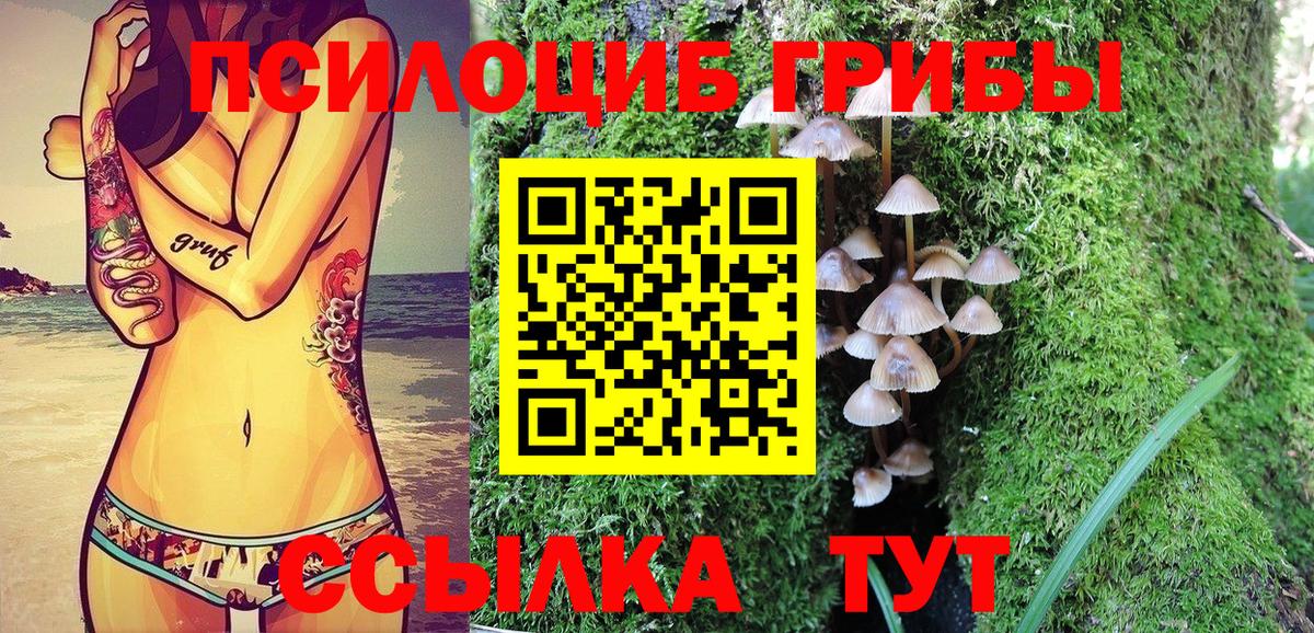 Псилоцибиновые грибы GOLDEN TEACHER  Вход с VPN  Дубна  Псилоцибиновые грибы Psilocybine cubensis 